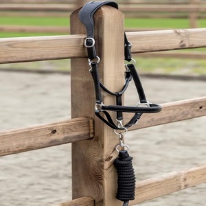 Double Stitching and Padding Heavy Duty Anatomically Design Genuine Leather Horse <b>Halter</b> in Full Cob Over Sizes - Product Image 3