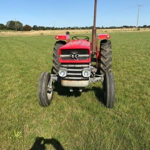 Tracteurs à roues Massey Ferguson 135 d'occasion, moteur 21 CV, à vendre - Product Image 2
