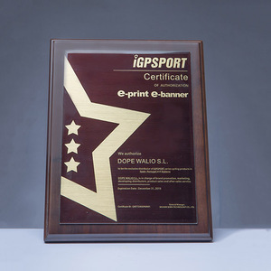 Glass and Silver Award <b>Trophy</b> with UV Printed Graphics-E002 - Product Image 1