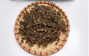 Mejor Precio Hoja de Polyscias Fruticosa Seca de Alta Calidad para Exportación a Granel desde Vietnam - Product Image 2