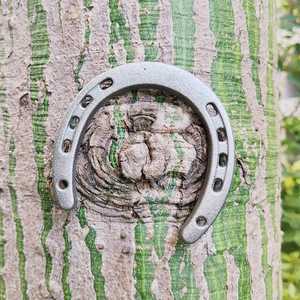 4 cái đúc sắt móng ngự<span class=keywords><strong>a</strong></span> cho tốt may mắn, bền gang vừ<span class=keywords><strong>a</strong></span> móng ngự<span class=keywords><strong>a</strong></span> 5 lỗ trên mỗi bên cho tường treo - Product Image 6