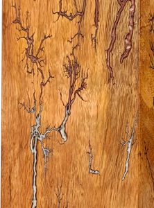 Urne en palissandre Boîte pour cendres humaines Lichtenberg Figure Urne pour cendres humaines Urne de crémation Boîte funéraire adulte grand enterrement (moyen) - Product Image 4