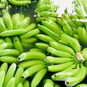 Venta caliente directa desde la granja Bananas frescas orgánicas verdes Proveedor directo - Product Image 5