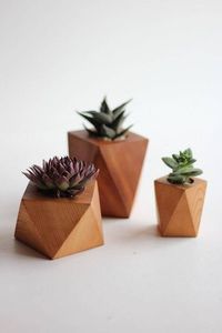 Macetas de madera creativas de pueblo, macetas de corteza de abeto para decoración de jardín para guardería doméstica o plantación de patio trasero - Product Image 2