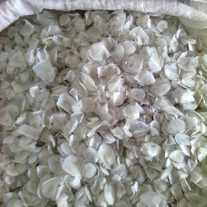 เกล็ดปลาแห้งดิบสำหรับสกัดคอลลาเจนและเจลาติน - Product Image 5