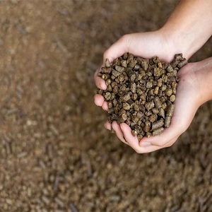 Comida de canola de primera calidad a la venta, entrega rápida disponible, ideal para piensos y necesidades agrícolas, compra al por mayor a excelentes precios - Product Image 4