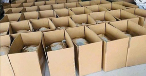 Ventes Flash : Jackfruit Séché Délicieux et Sain du Vietnam – Meilleur Fournisseur. Contactez-nous pour le Meilleur Prix. - Product Image 6