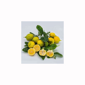 Limón Fresco Premium, Dulce, Jugoso y Maduro, Fruta Cítrica Natural, Suministro al por Mayor a Granel, Mercado de Exportación - Product Image 5