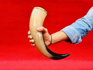 Corne à boire viking naturelle - Style classique, écologique, 100% corne naturelle pour vin blanc et camping par Crescent Crafts - Product Image 6