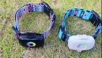 Nuevo Rastreador GPS Mini de Lujo para Mascotas Petzanya, Resistente al Agua IP67, Compatible con Tarjeta SIM 4G GPRS, Memoria de 8GB, Batería de >20H, iOS/Android