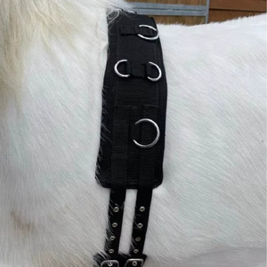 Circunferencia de cuero de caballo portátil de alta calidad Nueva circunferencia de cuero de caballo de alta calidad Circunferencia de cuero ecuestre Rub International - Product Image 1
