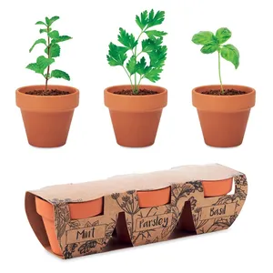 Juego de Hierbas Ecológicas, Maceta de Terracota, Accesorios Ecológicos para Plantas y Flores - Product Image 1