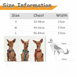 กระเป๋าใส่สุนัขกันน้ำสุดหรู พร้อมซิปปิด ปรับได้ ผลิตจากวัสดุ Oxford สำหรับการพาเดินเล่นอย่างง่ายดาย มีคลิปหนีบสายจูง 2 จุด ขนาดเล็ก/กลาง ผลิตในเวียดนาม - Product Image 3