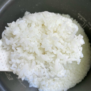 Basmati seco de arroz japonés engrasado blanco de grano corto vietnamita para Sushi textura dura WS + 84 858 080 598 - Product Image 3