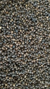 พริกไทยดำเวียดนามขายดี คุณภาพสูง เครื่องเทศรสเข้มข้น อบแห้ง ราคาส่ง - Product Image 6