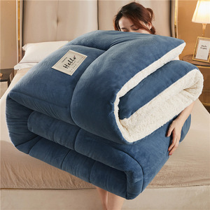 Nhà Máy Bán Hàng Trực Tiếp Dày Mùa Đông Ấm Áp Chăn Cừu Nhung Chăn Fluffy <span class=keywords><strong>Comforter</strong></span> Mùa Đông Tấm Ga Giường Thiết Lập - Product Image 4