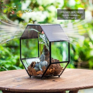 Terrario in Vetro Geometrico Ottagonale Grande Fatto a Mano per Insetti e Animali con Rete di Ventilazione (Solo Terrario) - Product Image 5