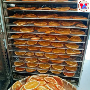 Rodajas de limón agrio y seco orgánico saludable AD procesado con el mejor precio/Sra. Lucinda - Product Image 4