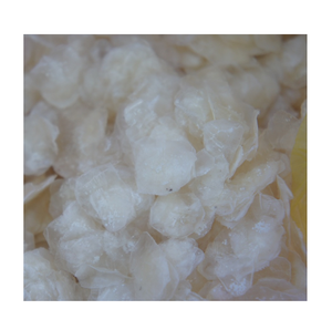 Échelle de poisson de mer séchée Origine au Vietnam - Product Image 4