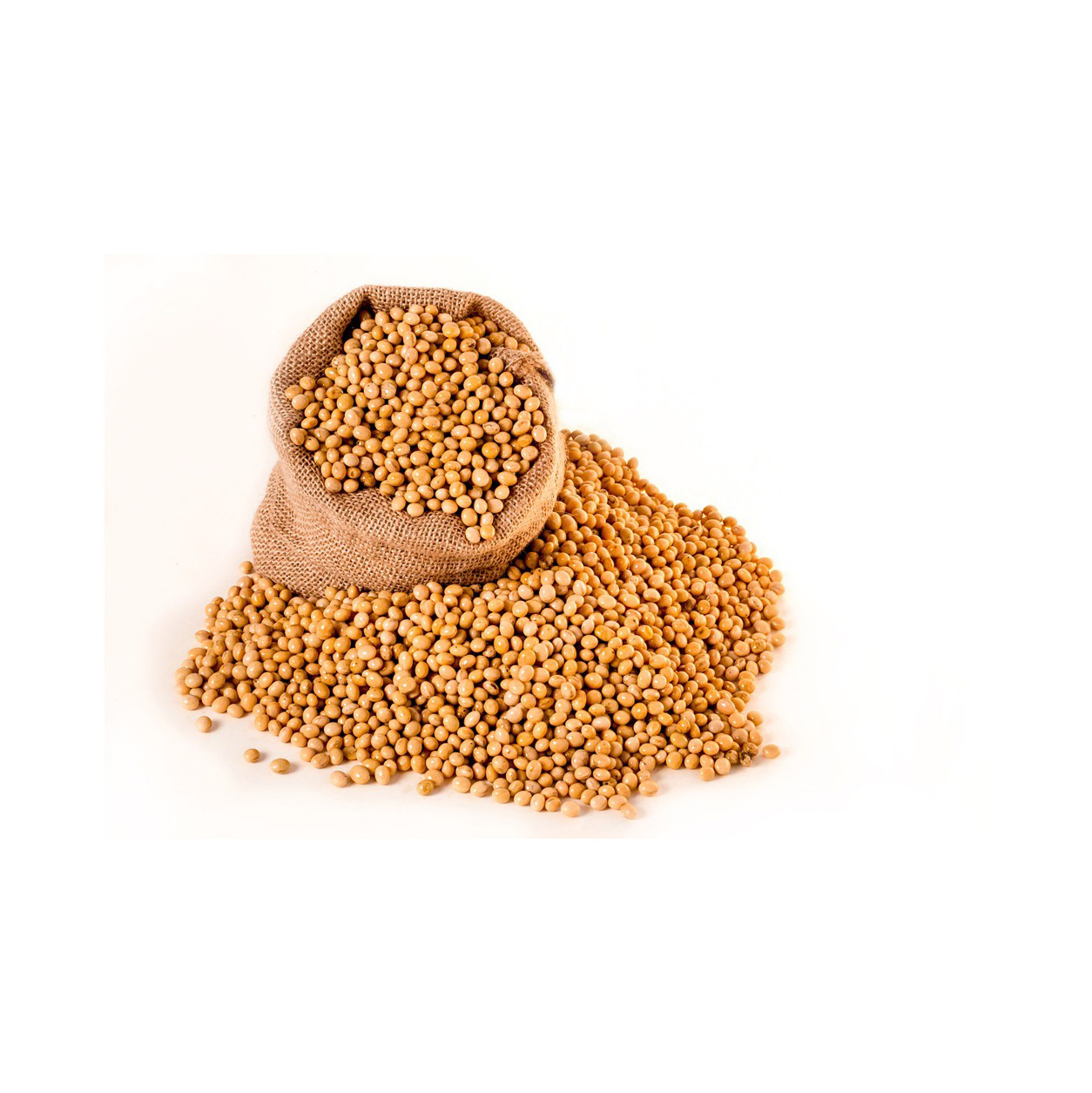 Organic High-Protein Non-GMO Soybeans Healthy Agricultural Food High-Level Raw Soybeans Grain Wholesale