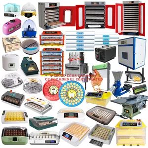 Multifunctional Automatic 448eggs 500eggs of 60 500 5000 9000 50000 Eggs incubator Hatcher Parts Suppliers in Tanzania