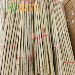 Palo de bambú para Plantas | Palo de bambú para jardín hecho por bambú natural en Vietnam de Eco2go - Product Image 6