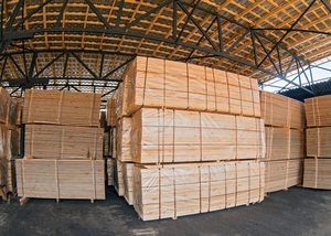 Madera de embalaje de eucalipto para proyectos de alta demanda Madera de embalaje de álamo Madera para uso comercial - Product Image 5