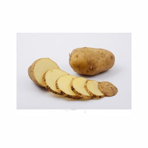 Frites surgelées biologiques de haute qualité chips de pommes de terre fraîches 1/4-3/8 vente en gros chaude semi-finie - Product Image 3