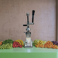 2025 Best Verkopende Fruitgroente Juicer Machine Handpers Citrus Citroen Pers Aluminium Ijzer Citroen Extractor Fruit Juicer