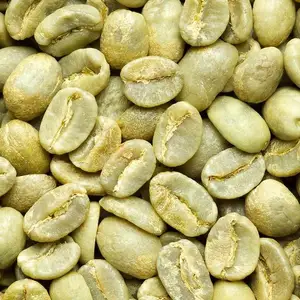 New Harvest Green Bean Coffee-Grãos De Café Robusta/Arabica Premium-Melhor Venda A Bom Preço-Embalagem em Massa