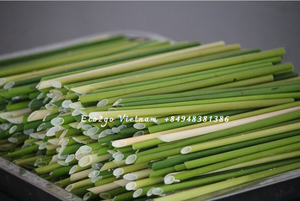 Eco2go 100% pajitas de hierba biodegradables naturales de alta calidad Material de PC Accesorios de barra para beber suministro a granel - Product Image 6