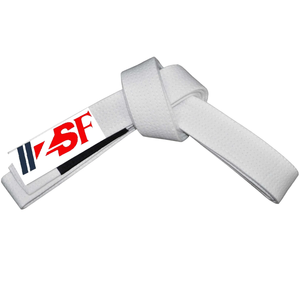 2022 personnalisé karaté uniforme ceinture Fitness porter avec différentes couleurs et Logo de l'équipe pour les arts martiaux - Product Image 3