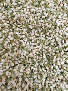 ดอกจัสมินแห้งแบบพรีเมี่ยมสำหรับคนรักชา - Product Image 2