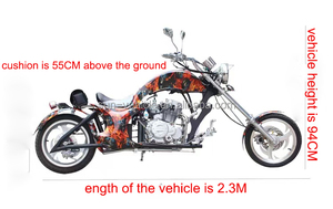 รถมอเตอร์ไซค์ Ducati 250 ซีซี รถวิบาก รถครุยเซอร์ รถวิ่งบนถนน รถใช้น้ำมันเบนซิน สำหรับขาย - Product Image 6