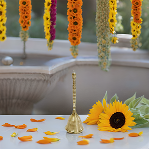 Campana de mano de madera de latón, accesorio de instrumento Musical Poojan indio tradicional de 7,5 pulgadas para curar, adorar a Dios, ídolo en casa - Product Image 4