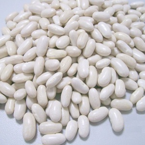 Haricots rouges biologiques FD séchés en vrac, emballage en fût de 3 kg pour usage alimentaire - Product Image 3