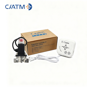 Detector de Fugas de Gas Propano CAATM JY-CA113, Sistemas de Alarma, Detección de Combustión Catalítica, Válvula de Cierre, Válvula Solenoide de 12V, ABS - Product Image 1