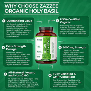 Suplemento herbario de albahaca sagrada orgánica de marca privada de alta calidad, cápsula potente antioxidante para fortalecer el sistema inmunológico - Product Image 6