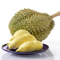 Premium Vietnamese verse durian voor export en groothandel