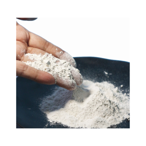Poudre de dolomite d'origine indonésienne avec composition stable parfaite pour l'agriculture industrielle et à des fins environnementales - Product Image 6