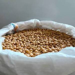 Dried Kabuli Chickpeas South Africa Origin White <b>25kg</b> 100% Mature Bulk Packaging Heat Origin Size Moisture Insect Damage <b>Weight</b> - Product Image 1