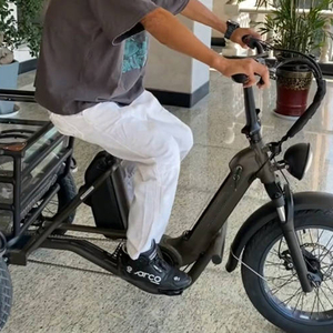 <span class=keywords><strong>RAIDER</strong></span> 2023 Nouveau Tricycle Électrique 3 Roues Batterie Double Amovible Pédale 48V Cargo Vélo Électrique 3 Roues 1000 Watts Roue de 26 Pouces - Product Image 4