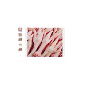 Patas de Pollo Congeladas Halal de Primera Calidad, Empaquetado a Granel, Buen Precio, Listas para Exportación - Product Image 5