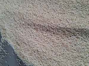 Shantilal Traders 2025 – Sésame torréfié naturel de qualité supérieure, trié Sortex, ingrédient alimentaire sec au goût sec, prix compétitif - Product Image 5