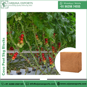 Proveedor de mezcla para macetas de coco, turba de coco/médula de coco, ladrillos de 5kg a precio directo de fábrica - Product Image 5