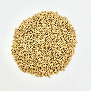 Soft and Hard <b>Wheat</b> Grains / Premium Quality Soft Milling <b>Wheat</b> - Product Image 2