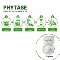 Poudre d'enzyme phytase de qualité alimentaire 10000 U/g pour l'alimentation des volailles et des porcs
