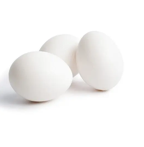 Œufs à couver de poulets de chair Cobb 500 et Ross 308 |   Œufs fertiles à vendre - Product Image 2