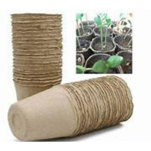 SustainOCoir Seedling <b>Pot</b> <b>Trays</b> Premium Quality <b>Pots</b> for Growing Healthy Plants - Product Image 4