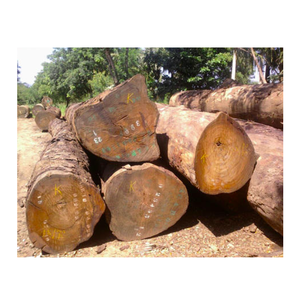 Madera de Acajou asequible a la venta, hojas de madera duraderas de primera calidad a precios bajos para pedidos a granel y construcción - Product Image 6